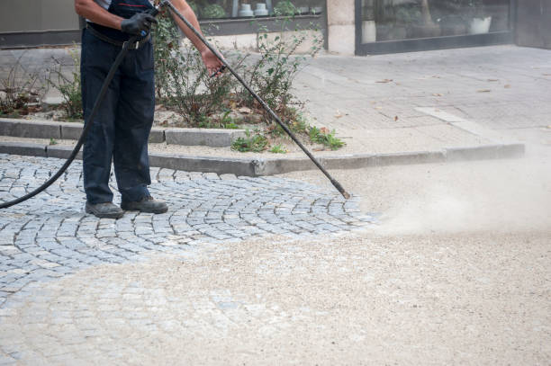 Best Warehouse Cleaning  in The Meadows, FL